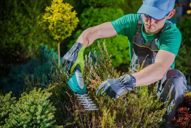 landscaping services Midvale
